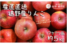 訳あり りんご 約 5kg ご家庭用 詰合せ / 道の駅遠野風の丘 産直 直送 旬 厳選 岩手県 遠野市 産 ワケアリ 年内発送