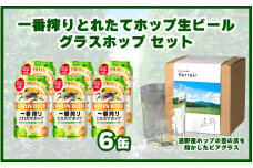 キリン 一番搾り とれたてホップ 生ビール 350ml × 6本 + グラスホップ セット 