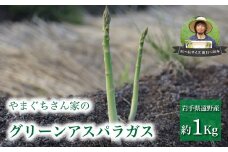 アスパラガス 1kg 山口農園 岩手県 遠野市 産 グリーン アスパラ 【 申込期間6月中旬まで】
