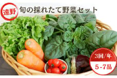 【 3回 定期便 】 旬 採れたて 野菜 詰め合わせ セット （5～7品）ライトサイズ【こんたでぃーの遠野】