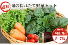 【 奇数月 6回 定期便 】 旬 採れたて 野菜 詰め合わせ セット （5～7品）ライトサイズ【こんたでぃーの遠野】