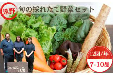 【 12回 定期便 】 旬 採れたて 野菜 詰め合わせ セット （7～10品）レギュラーサイズ【 こんたでぃーの遠野 】