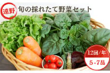 【 12回 定期便 】 旬 採れたて 野菜 詰め合わせ セット （5～7品）ライトサイズ【こんたでぃーの遠野】