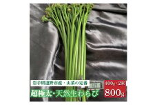 生わらび 超極太 10ミリ以上 800g 400g×2束 天然 岩手県 遠野市 産 ワラビ 山菜 田村りんご店 期間限定 数量限定 【 先行予約 2025年5月上旬発送】