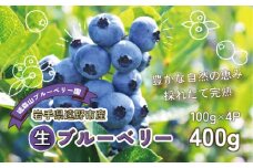 ブルーベリー 生 400g 100g×4パック 岩手県 遠野市 遠野食工房蔵 / 栽培期間中 農薬不使用 無農薬 除草剤 不使用 砥森山ブルーベリー園 完熟 生ブルーベリー 【 先行予約 2025年7月初旬頃発送予定】