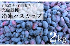 自然農法 冷凍 ハスカップ ( 2kg )  完熟収穫 栽培期間中 農薬不使用 農家 直送 遠野もぐもぐカントリー