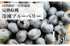 自然農法 自然栽培 冷凍 ブルーベリー 1kg 栽培期間中 農薬不使用 農家 直送 遠野もぐもぐカントリー