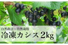 自然農法 冷凍 カシス ( 2kg ) 完熟収穫 栽培期間中 農薬不使用 農家 直送 遠野もぐもぐカントリー