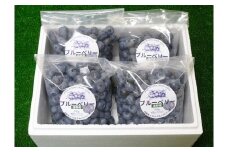 冷凍 ブルーベリー ちょっと小さめ Mサイズ 2kg （500gパック4個入り） 門前おくでらブルーベリー園 岩手県 遠野市 産 お取り寄せ 産地直送 2025年産 冷凍ブルーベリー