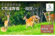 遠野鹿 1頭買い ・ 14kg 【遠野ジビエ】 / ジビエ 鹿肉 岩手県 遠野市 産  遠野ジビエの里 毘沙門商会合同会社