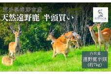 遠野鹿 半頭買い ・ 7kg 【遠野ジビエ】 / ジビエ 鹿肉 岩手県 遠野市 産  遠野ジビエの里 毘沙門商会合同会社