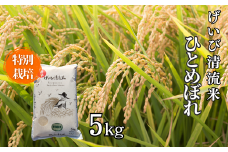 ＜新米先行予約＞令和7年産 特別栽培 ひとめぼれ 5kg 清流が育んだお米 げいび清流米