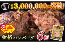 【累計300万個突破！】格之進 金格 ハンバーグ 6個 冷凍 小分け 個包装 高級 国産  無添加ハンバーグ お惣菜 おかず お弁当 ハンバーグ 国産牛 無添加 黒毛和牛 高級 お取り寄せ ギフト 人気  岩手県 一関市 簡単調理