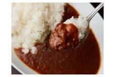 《格之進》門崎熟成肉カレー12箱 【 小分け 個包装 簡単調理 ビーフカレー 岩手 一関 】