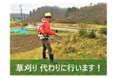 空家や空き地の草刈　100坪程度