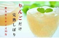 JAいわて平泉《果汁100％りんごジュース》完熟しぼり 飲みきりサイズ195g×30缶