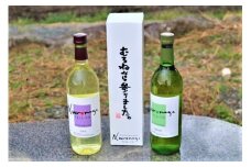 むろねーじゅワイン2本セット(梅ワイン・りんごワイン)