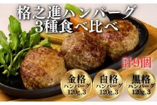 〈格之進〉ハンバーグ 3種 食べ比べ〈120g×各3個〉「金格・白格・黒格」個包装 お惣菜 おかず お弁当 ハンバーグ 小分け 国産牛 冷凍ハンバーグ 返礼品  無添加 黒毛和牛  高級ハンバーグ お取り寄せ ギフト 人気  岩手県 一関市