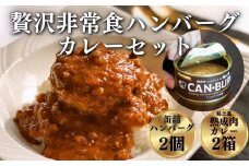 《格之進》贅沢　缶詰ハンバーグ・熟成肉カレーセット【常温保存で非常食に◎】お歳暮 プレミアム お弁当 個包装 お惣菜 小分け 子供 簡単調理 レトルト 肉 岩手 一関 贈り物 ギフト 人気