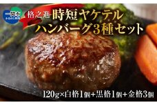 格之進〈超人気！TVでも紹介〉ヤケテルハンバーグ「金格・白格・黒格」3種セット ハンバーグ 個包装 お惣菜 おかず お弁当 湯煎 調理済 簡単調理 冷凍ハンバーグ 食べ比べ セット 返礼品 国産牛 黒毛和牛  高級ハンバーグ お取り寄せ ギフト 人気  岩手県一関市