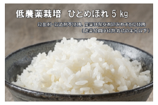 【新米先行予約】令和7年産 新米 低農薬栽培米 ひとめぼれ 5kg 【精米】