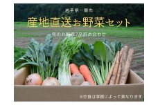 【思いやり型返礼品（支援型）】季節の野菜７品 詰め合わせ 【 GAP認定農場で栽培した 北上川の恵み 】