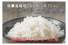 ＜新米先行予約＞【毎月定期12回】令和7年産 新米 低農薬栽培米 ひとめぼれ 10kg 【精米】