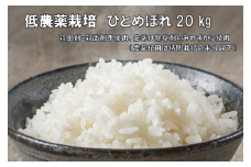 【新米先行予約】令和7年産 新米 低農薬栽培米 ひとめぼれ 20kg【精米】