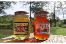 【国産 はちみつ】岩手の純粋 蜂蜜 600g×2本セット（アカシア & 秋百花）