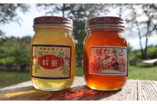 【国産/はちみつ】岩手の純粋蜂蜜600g×2本セット（トチ&秋百花）
