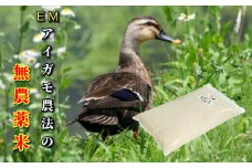 令和6年産 EMかもちゃん米「ミルキークイーン 5kg」【玄米】