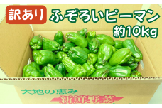 《 朝採れ / 農家直送 》【訳あり】ふぞろいピーマン 大容量 10kg ピーマン 新鮮野菜 新鮮 サラダ 野菜 ぴーまん BBQ 規格外 訳あり お取り寄せ 美味しい 料理 おうちごはん 新鮮 国産 日本産 岩手県 一関市 東北