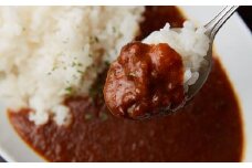 《格之進》門崎熟成肉カレー 5箱 【 小分け 個包装 簡単調理 ビーフカレー 岩手 一関 】