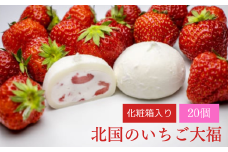 【訳あり】いちご大福〈20個入〉アイス 個包装 北国のいちご大福 いちご 苺 スイーツ 訳あり デザート 大容量 アイスクリーム  生クリーム大福 大福 和菓子 お菓子 小分け 人気 ギフト 贈答用 冷凍  ふるさと納税 岩手県 一関市