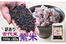 【 訳あり 】 古代米 紫米 150g 10袋 計1500g 小分け セット お試し 黒米 紫黒米 玄米 ご飯 もち米 栄養 アントシアニン 国産 一関 花泉 岩手 おにぎり 弁当 カレー 自然 食品 香り 紫 スーパー 米 コメ もち