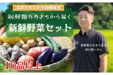 【注文が来てから収穫発送！】注文が来てから収穫発送！収穫したばかりの新鮮野菜セット 《10品以上保証》 季節のお野菜 おまかせ お楽しみ 獲れたて産地直送 旬 春野菜 ベジタブル ヘルシー 健康 詰め合わせ 一関市