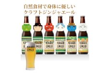 クラフトジンジャーエール「こはるジンジャー」6本セット