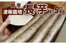 【先行予約】 長芋  5㎏  岩手県一関市産 秋堀り 波板栽培 長いも とろろ 産地直送 ごはんのお供  