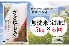 【定期便/6ヶ月】進さんのお米「ササニシキ／無洗米」 5kg