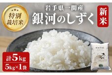 ＜新米先行予約＞令和7年産 特別栽培 銀河のしずく 5kg  お米 いわて コメ 精米 ブランド米 米 ご飯 白飯 ごはん お弁当 おにぎり 岩手県 一関市