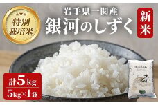 【 令和7年産 新米 】特別栽培 銀河のしずく 5kg  お米 いわて コメ 精米 ブランド米 米 ご飯 白飯 ごはん お弁当 おにぎり 岩手県 一関市