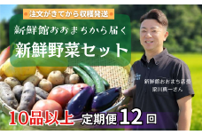 【定期便12回】注文が来てから収穫発送！収穫したばかりの新鮮野菜セット 《10品以上保証》 季節のお野菜 おまかせ お楽しみ 獲れたて産地直送 旬 春野菜 ベジタブル ヘルシー 健康 詰め合わせ 一関市