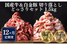 【定期便 全12回】《格之進》 国産牛 • 白金豚 切り落とし セット 1.5kg ＜国産牛 300g×2 白金豚 300g×3＞ 牛肉 豚肉 牛 豚 肉 小分け 個包装 大容量 おかず 冷凍 しゃぶしゃぶ すき焼き 人気 肉定期便 定期便 家計応援 岩手県一関市