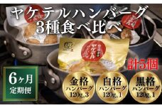 【定期便 全6回】格之進＼超人気！TVでも紹介／ヤケテルハンバーグ「金格・白格・黒格」3種セット 600g〈120g×5個〉 ハンバーグ 個包装 惣菜 おかず お弁当 湯煎 湯せん 温めるだけ 調理済 簡単調理 ハンバーグ湯煎 冷凍ハンバーグ 返礼品 国産牛 黒毛和牛 お取り寄せ ギフト 人気  岩手県一関市