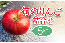 訳あり【数量限定】旬の詰め合わせりんご 5㎏　