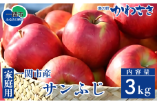 【先行予約】りんご サンフジ 3kg セット 旬のりんご 11月頃から順次発送