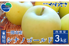 【先行予約】りんご シナノゴールド 3kg セット 旬のりんご 11月頃から順次発送