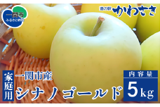 【先行予約】りんご シナノゴールド 5kg セット 旬のりんご 11月頃から順次発送