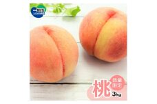 ご家庭用【数量限定】桃 3kg （9～12玉）品種おまかせ もも モモ  デザート フルーツ 果物 くだもの 訳あり 産地直送 岩手県 一関市