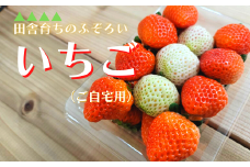 【訳あり】家庭用 苺MIX 約1kg
